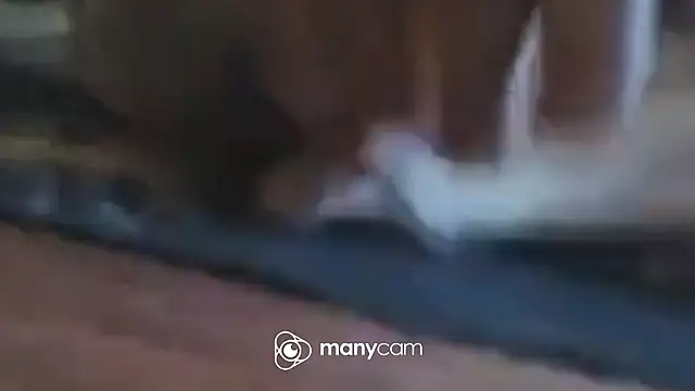 immerGeil79 online show from 04-05-26, 05:58