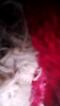 Bigcockmexi13 online show from 10-12-25, 03:13