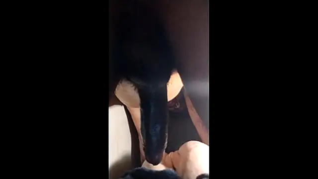 Bigcockmexi13 online show from 11-23-25, 12:48