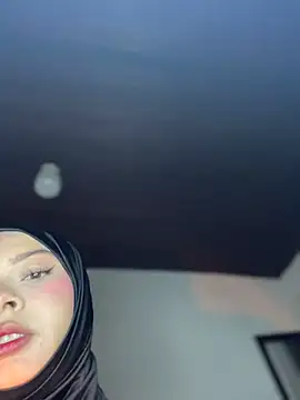 Snapshot of aneesa_darzi chatting on 08-01-26, 11:25 aneesa darzi online show from 08-01-26, 11:25