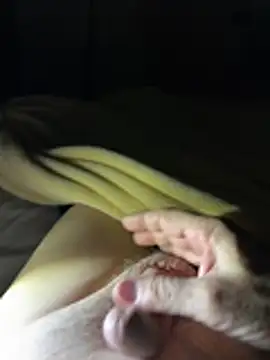 Snapshot of bertram59 chatting on 07-19-26, 04:32 bertram59 online show from 07-19-26, 04:32