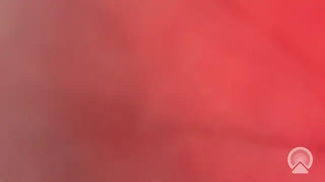 Aulonocara86 online show from 02-10-26, 12:15