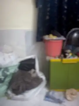 PARI Hun online show from 04-09-26, 12:11