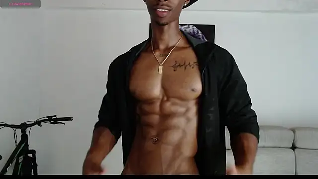 drake brwon 23 online show from 06-15-26, 07:30