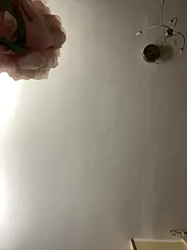 h4cAlex online show from 11-15-25, 04:00