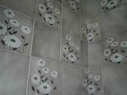 joaodias 97 online show from 01-14-25, 10:12