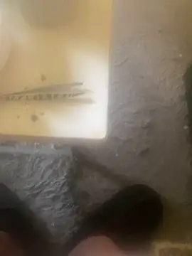 chrille82 online show from 04-18-26, 05:43