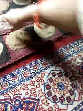 ohana143 online show from 03-17-25, 12:04