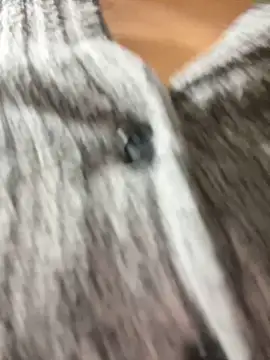 Snapshot of Asia-Lynn chatting on 03-12-25, 04:56 Asia-Lynn online show from 03-12-25, 04:56