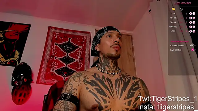 TigerStripes1  online show from 03-19-26, 06:24