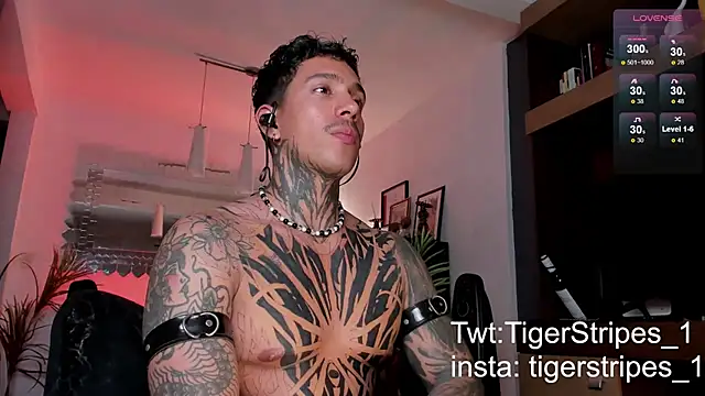 TigerStripes1  online show from 02-22-25, 04:18