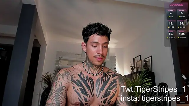 TigerStripes1  online show from 02-28-25, 12:43