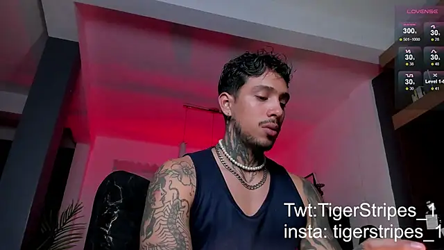 TigerStripes1  online show from 02-09-25, 05:40