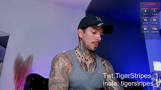 TigerStripes1  online show from 03-19-25, 12:59