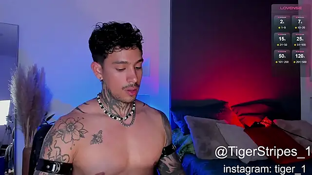 TigerStripes1  online show from 02-02-25, 10:28