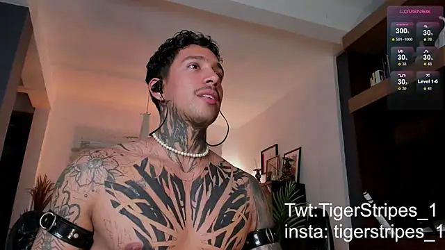 TigerStripes1  online show from 02-24-25, 11:19