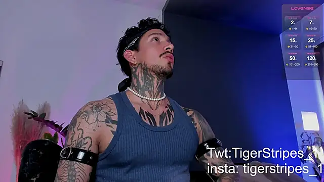 TigerStripes1  online show from 03-19-25, 08:54