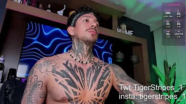 TigerStripes1  online show from 03-09-25, 12:31