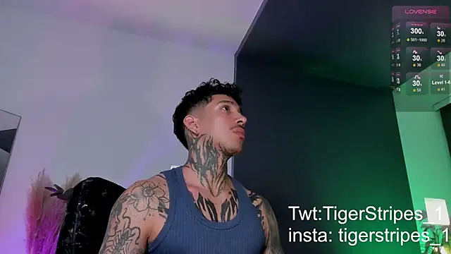 TigerStripes1  online show from 03-20-25, 11:56