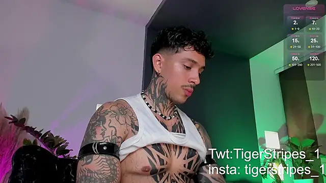 TigerStripes1  online show from 03-22-25, 12:39