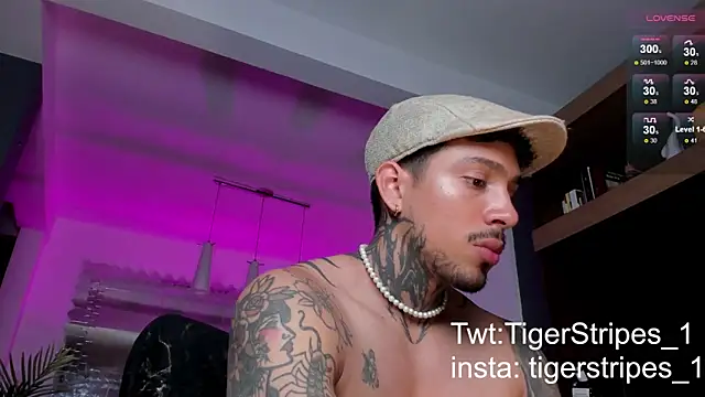 TigerStripes1  online show from 02-09-25, 10:32