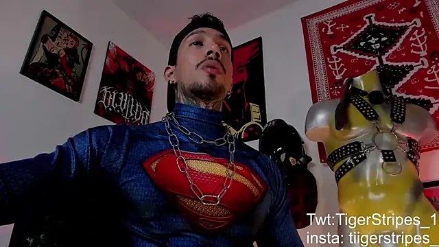 TigerStripes1  online show from 03-21-26, 04:57