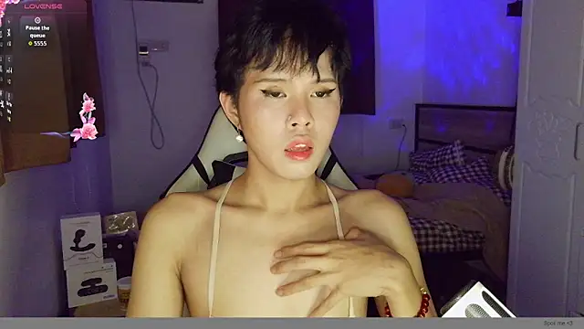 Plaxtique online show from 02-03-26, 04:12