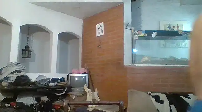 Stevenson988 online show from 02-15-25, 12:26