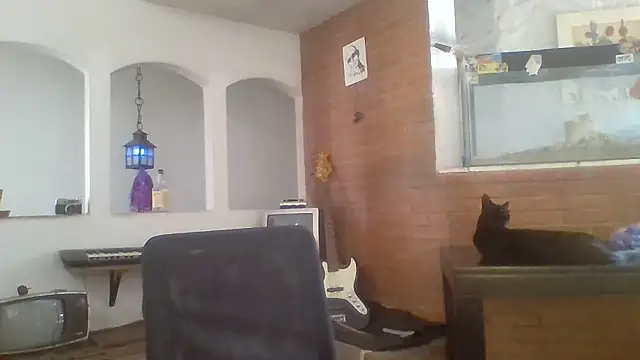 Stevenson988 online show from 01-14-26, 06:00