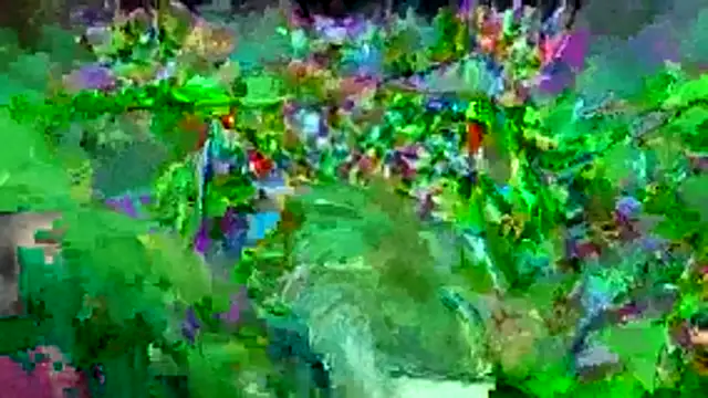 bigdon5169 online show from 05-01-26, 02:55