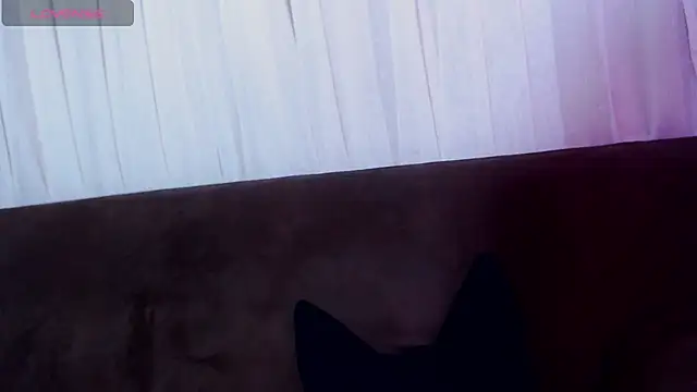 AlissonnFoxx online show from 06-02-26, 12:21