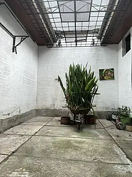 oliver price1 online show from 01-10-26, 08:26