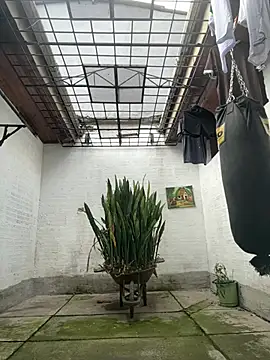 oliver price1 online show from 02-17-26, 02:58