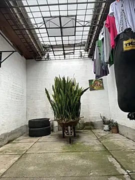 oliver price1 online show from 10-29-25, 07:35