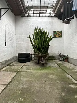 oliver price1 online show from 11-13-25, 09:19