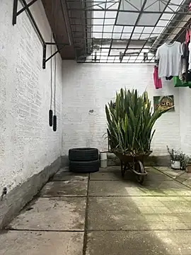 oliver price1 online show from 10-25-25, 04:29