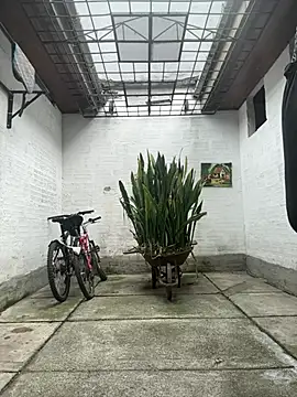 oliver price1 online show from 03-23-26, 06:52